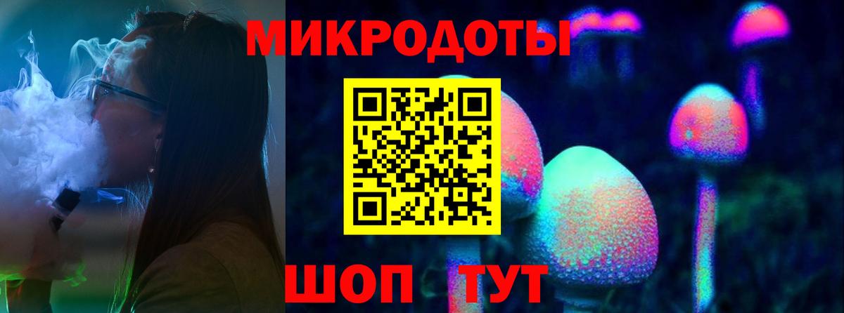 Псилоцибиновые грибы Psilocybe Егорьевск